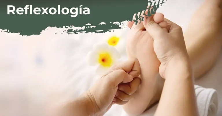 03 Reflexologia - curso intensivo - alivia argentina